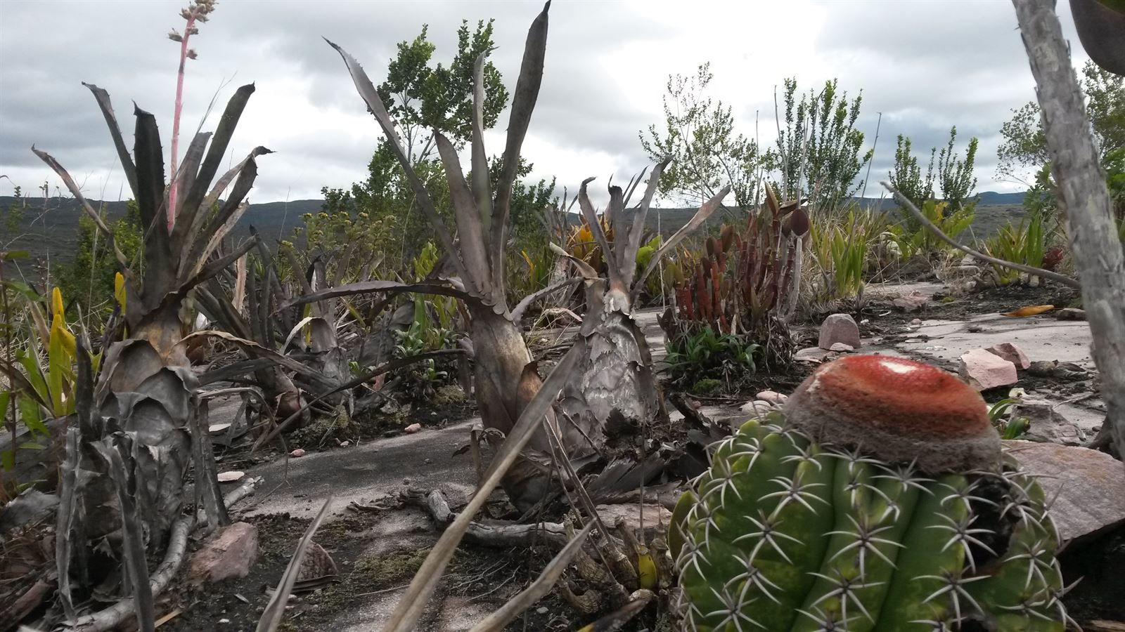 Turismo en America Latina - Chapada Diamantina - Mucugê